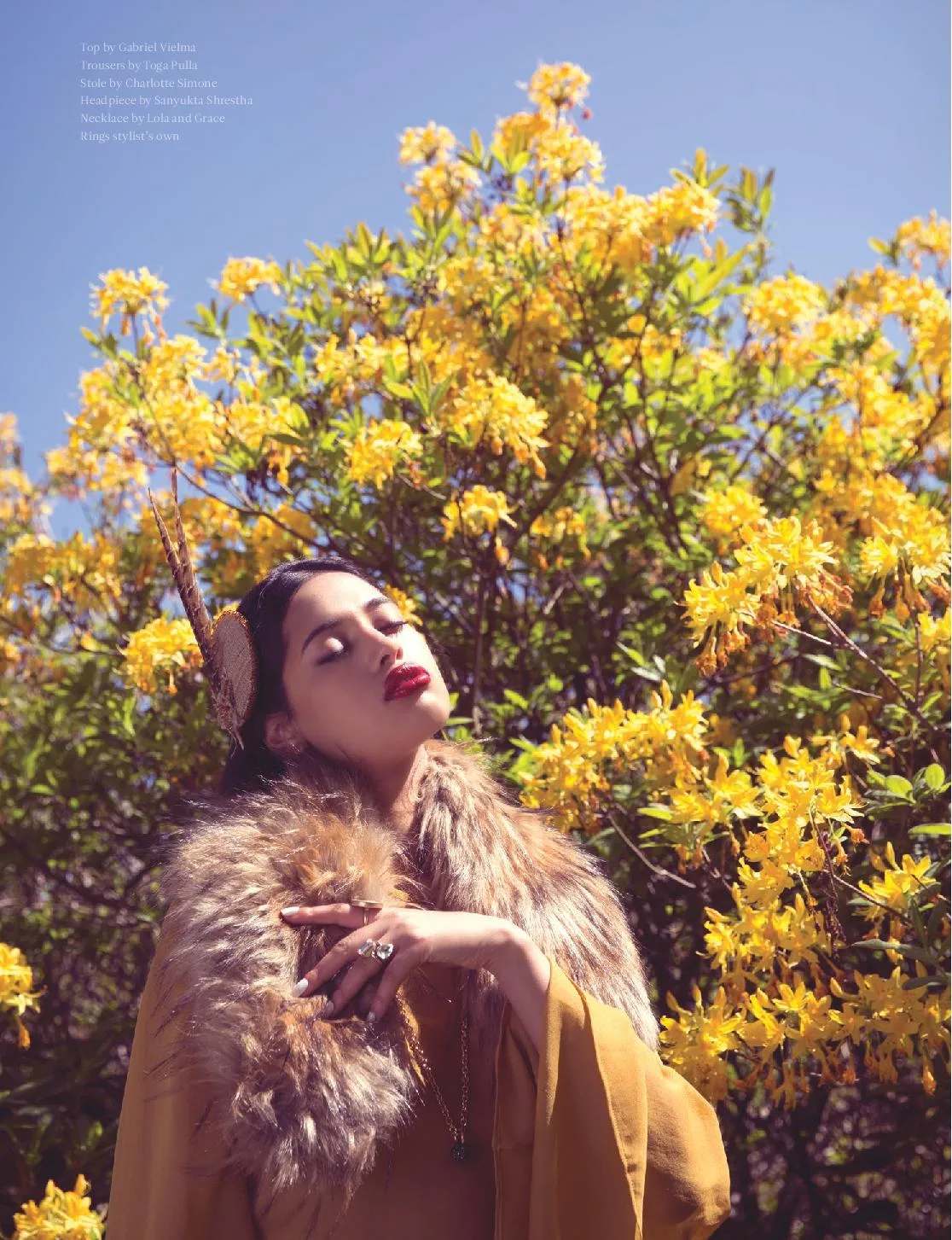 ARCADIA MAGAZINE